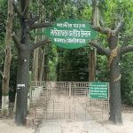 লাউয়াছড়া জাতীয় উদ্যান