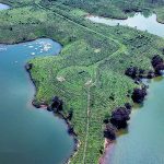 ক্যামেলিয়া লেক –  শ্রীমঙ্গল